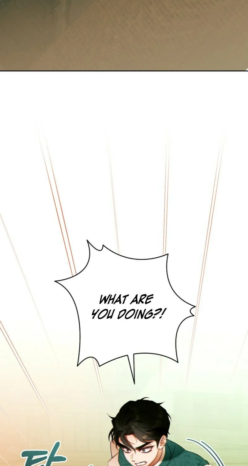 This Marriage Will Surely Succeed Chapter 42 page 65 - 