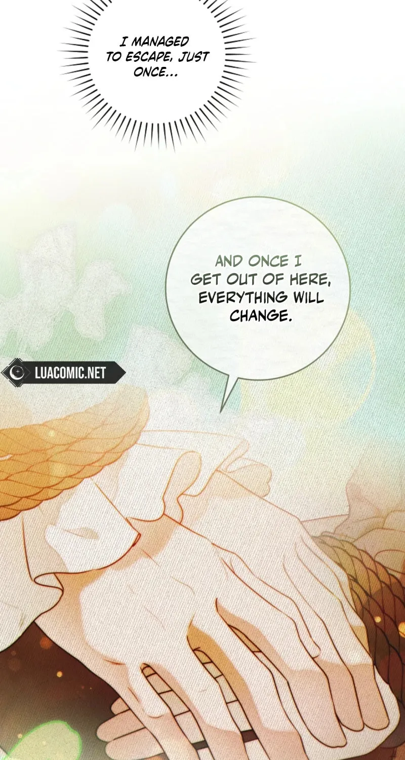 This Marriage Will Surely Succeed Chapter 43 page 36 - 