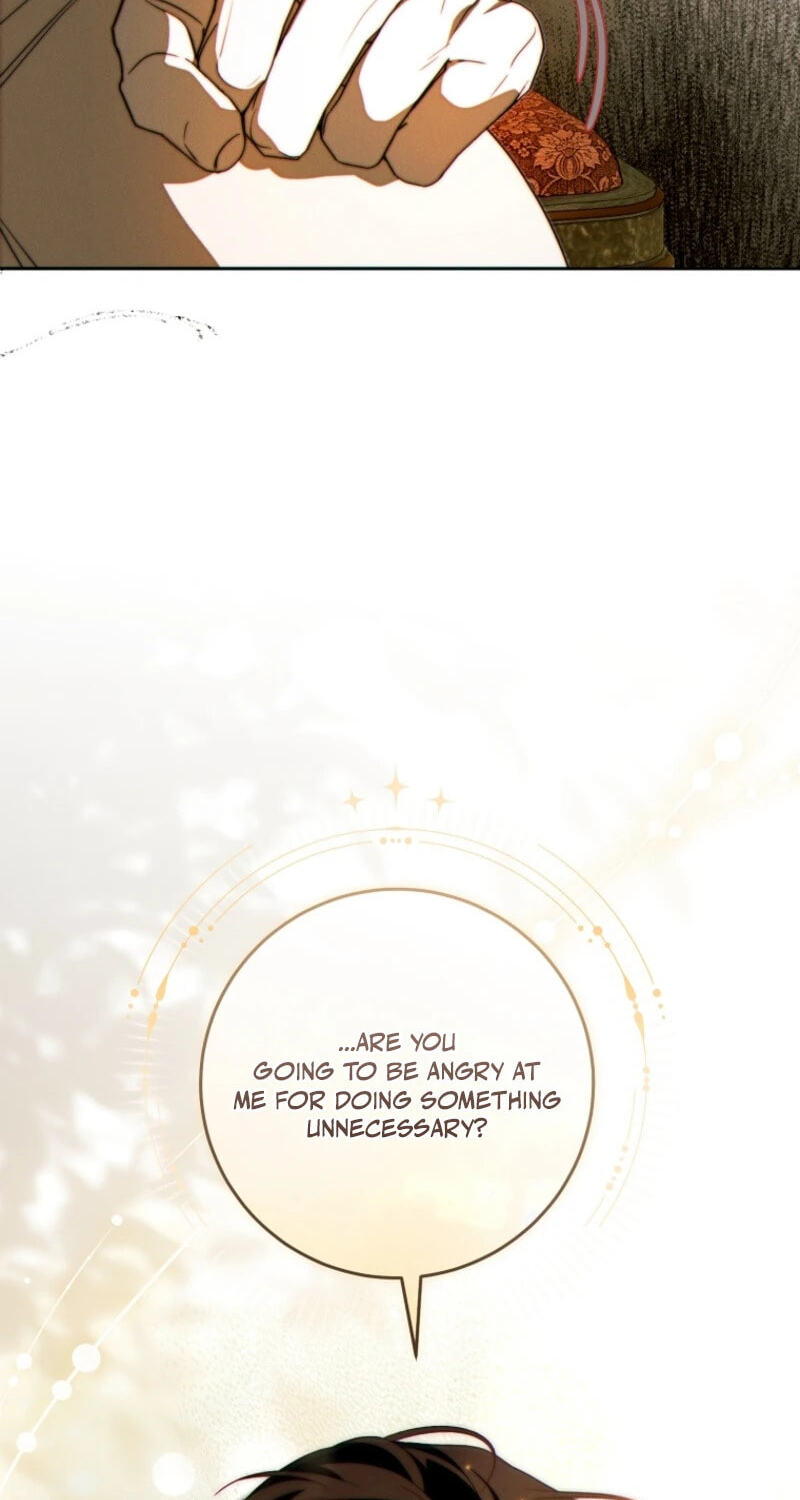 This Marriage Will Surely Succeed Chapter 61 page 24 - 