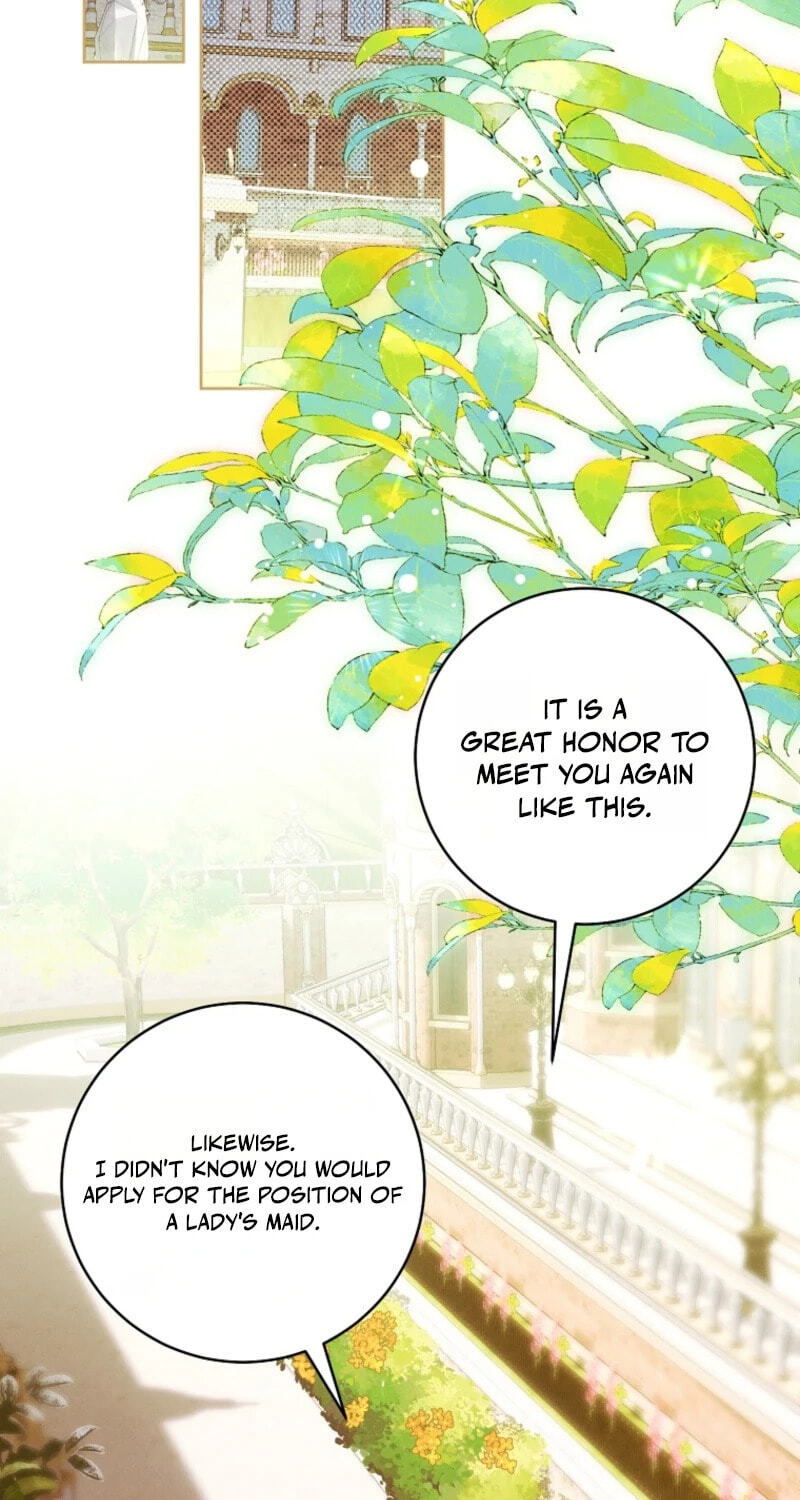This Marriage Will Surely Succeed Chapter 61 page 47 - 