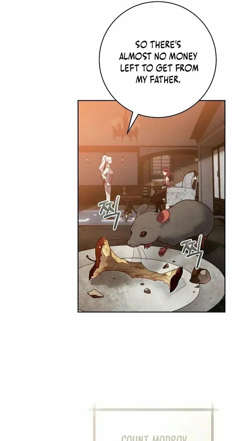 This Marriage Will Surely Succeed Chapter 9 page 47 - 