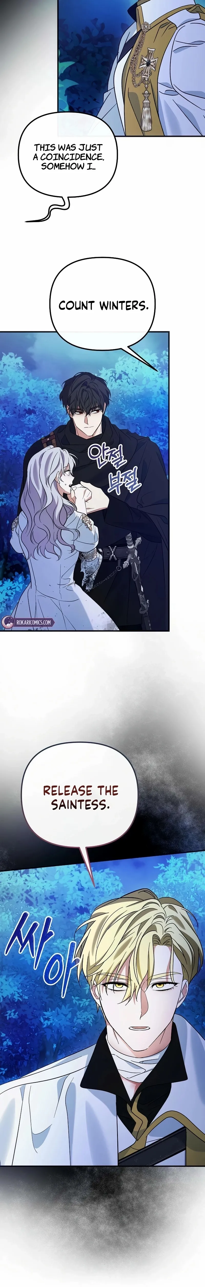 This Retired Saintess Will Raise Your Property Value Chapter 14 page 9 - 