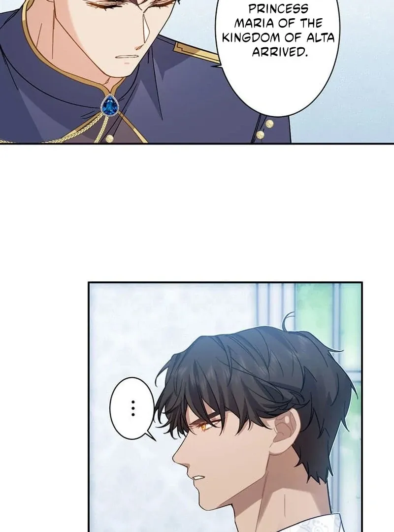 This Time, I Will Avoid This Marriage- a Method to Part Ways With You, Who Lacks Love Chapter 16 page 65 - 