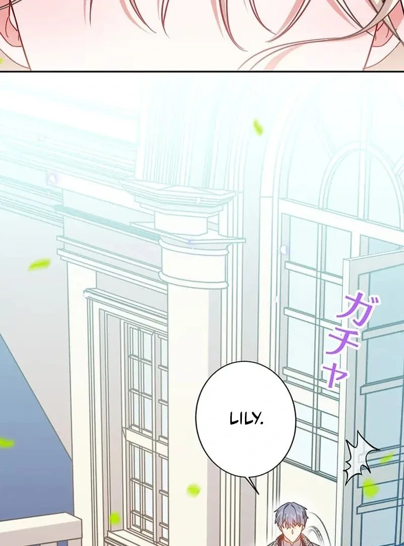 This Time, I Will Avoid This Marriage- a Method to Part Ways With You, Who Lacks Love Chapter 8 page 25 - 