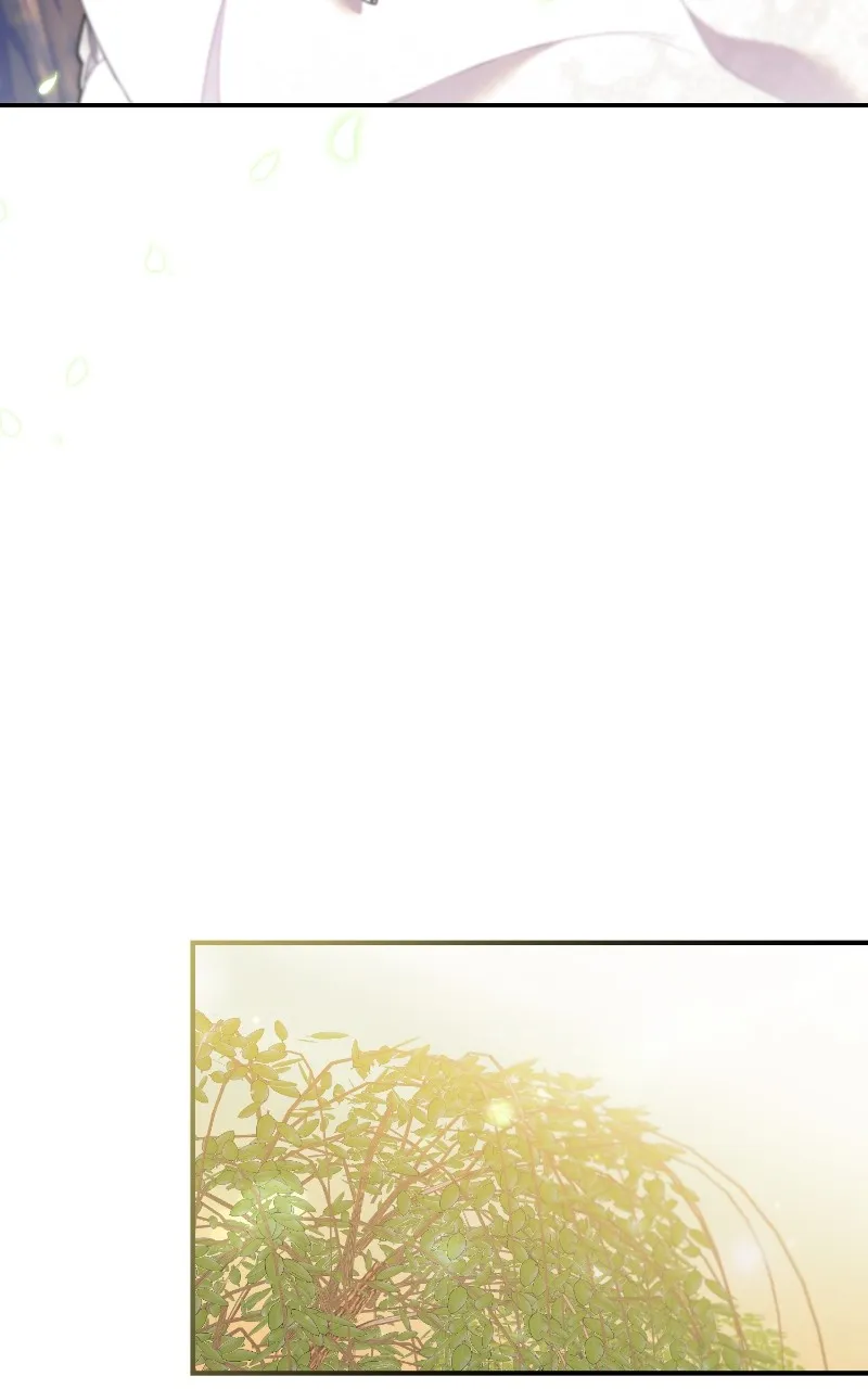This Wasn’t in My Adoption Plan! Chapter 17 page 66 - 