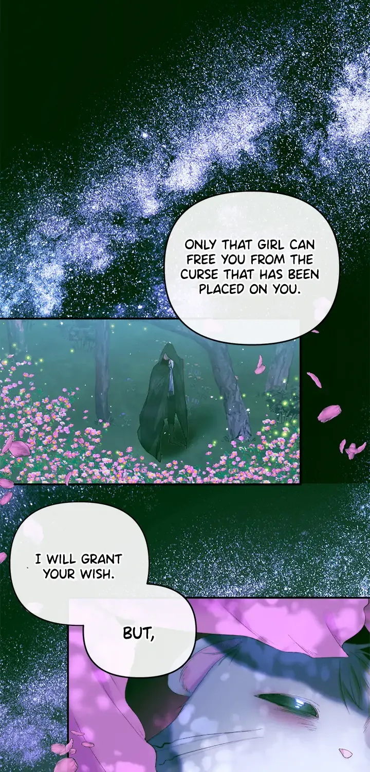 This Wild Mouse Has Taken Cinderella Chapter 0 page 39 - 