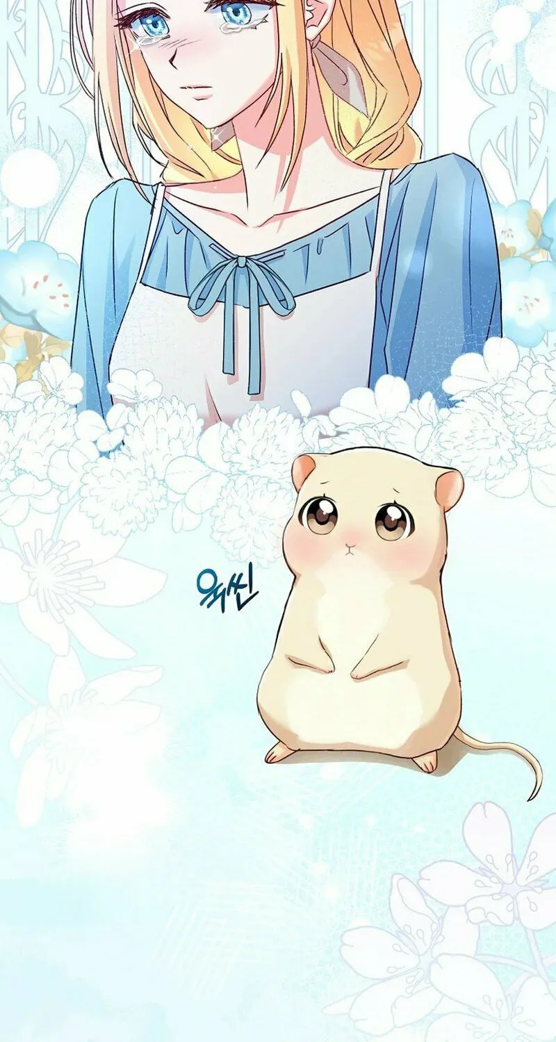 This Wild Mouse Has Taken Cinderella Chapter 1 page 117 - 