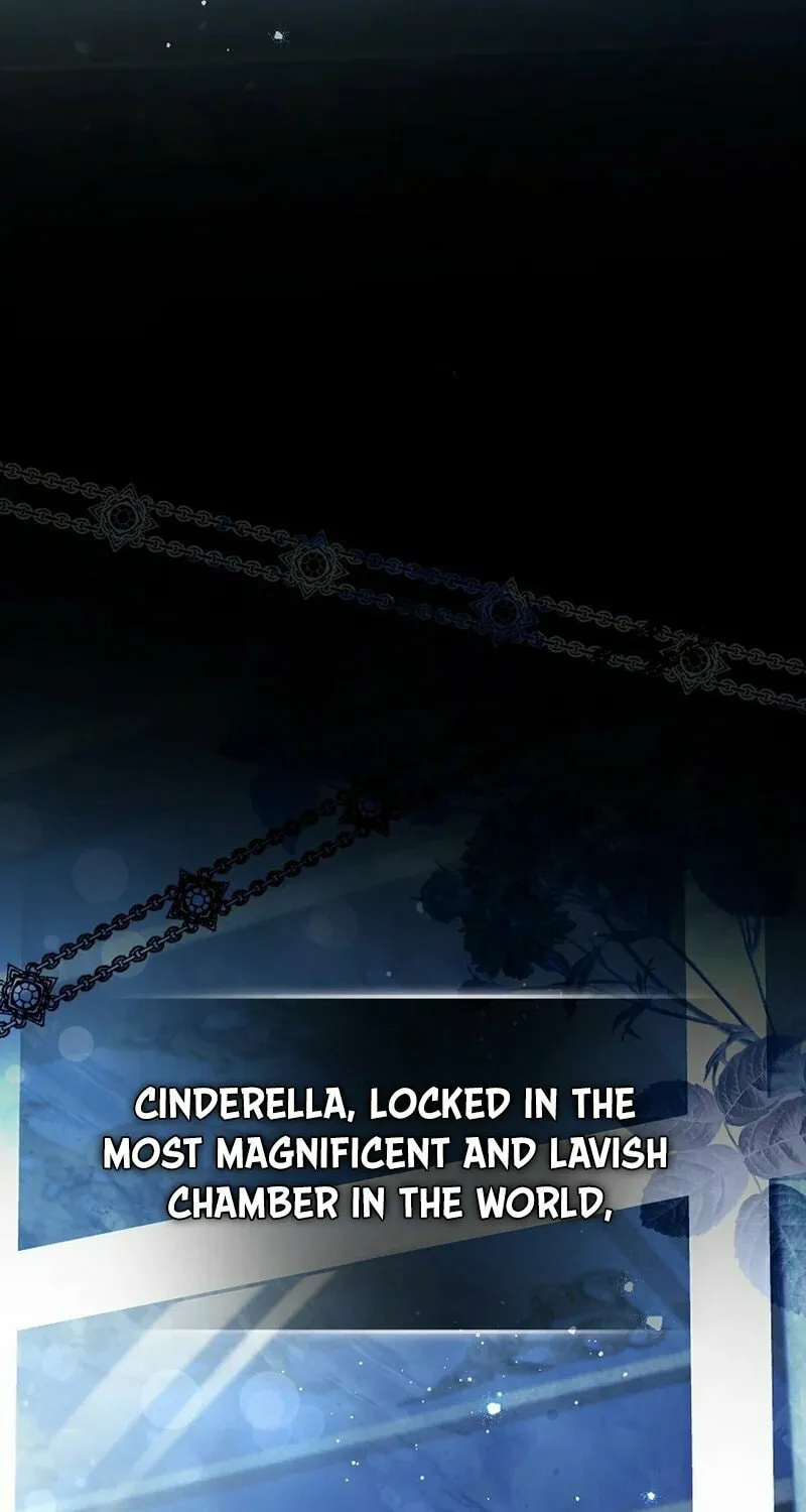 This Wild Mouse Has Taken Cinderella Chapter 1 page 17 - 