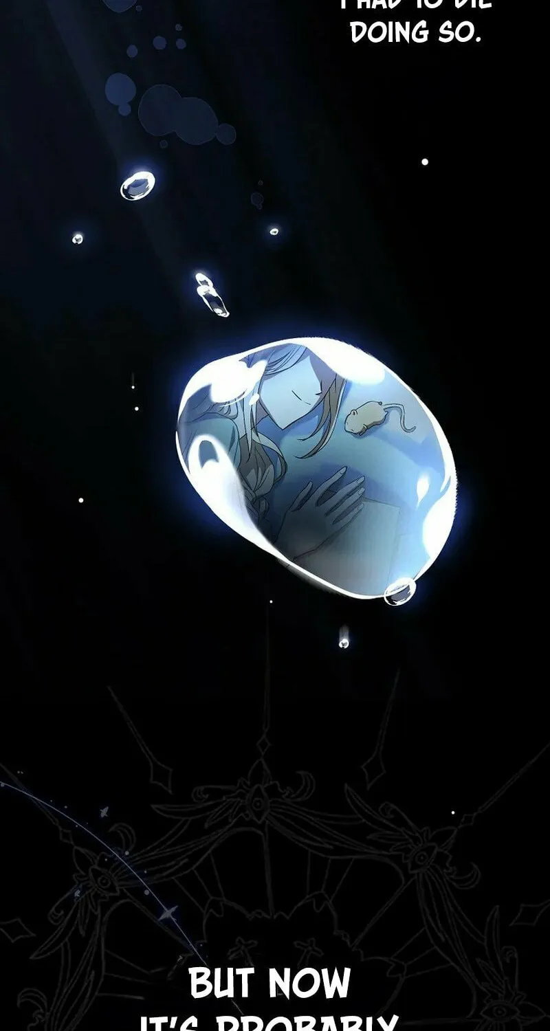 This Wild Mouse Has Taken Cinderella Chapter 1 page 27 - 