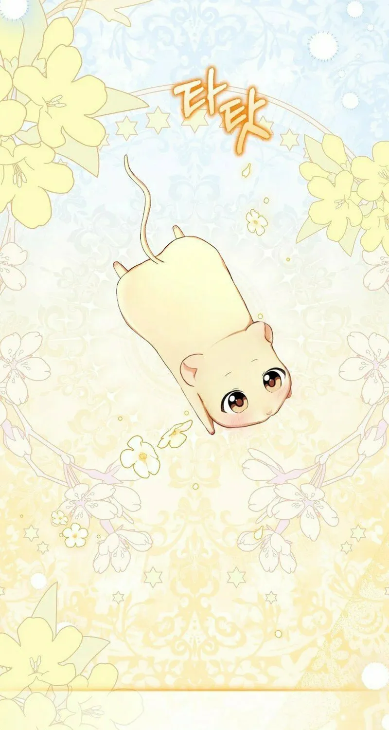 This Wild Mouse Has Taken Cinderella Chapter 1 page 35 - 