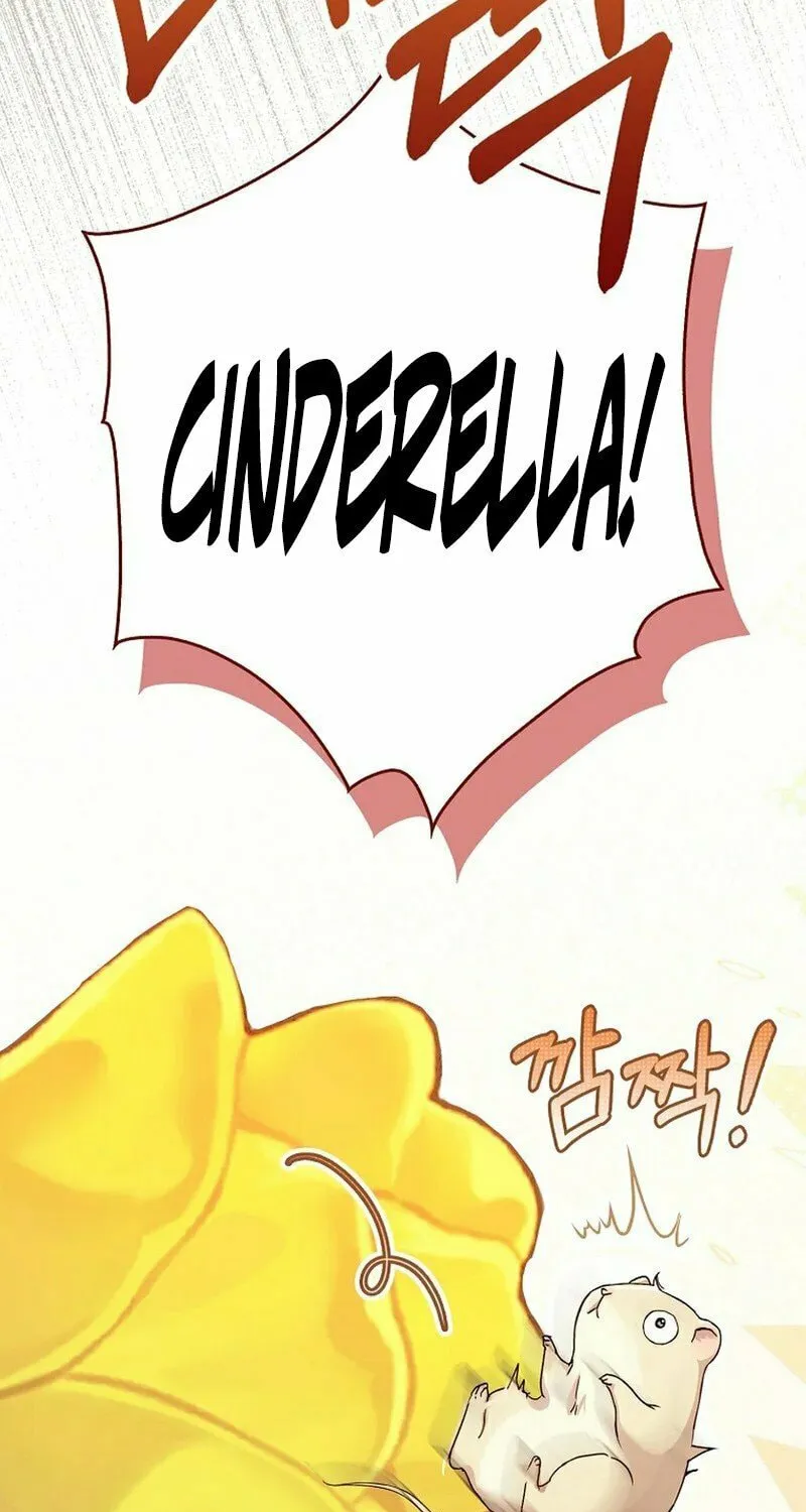 This Wild Mouse Has Taken Cinderella Chapter 1 page 73 - 
