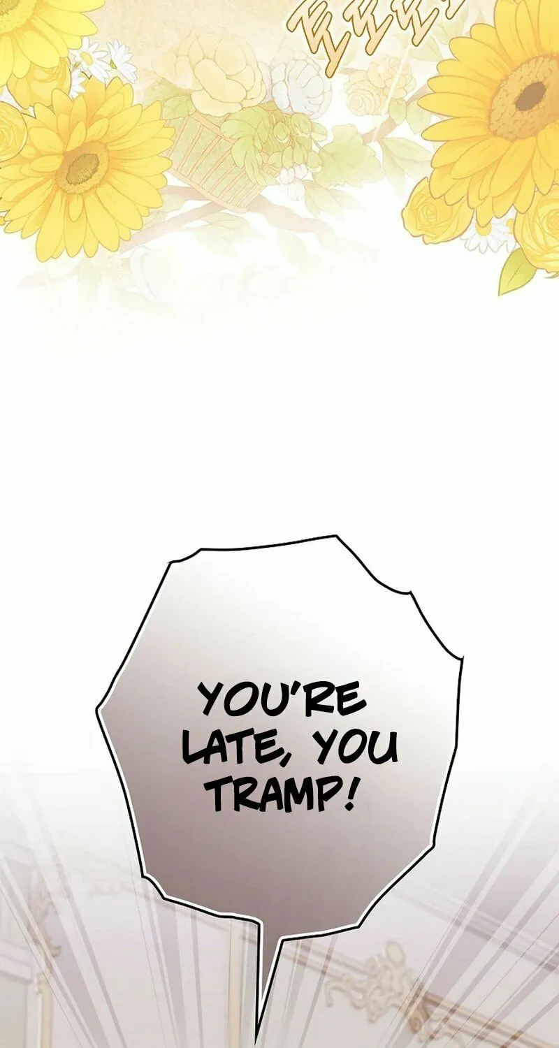 This Wild Mouse Has Taken Cinderella Chapter 1 page 91 - 