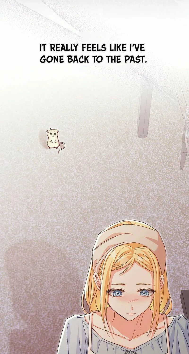 This Wild Mouse Has Taken Cinderella Chapter 1 page 97 - 