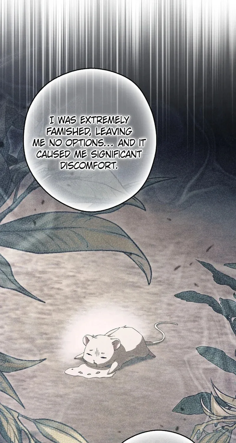 This Wild Mouse Has Taken Cinderella Chapter 11 page 52 - 