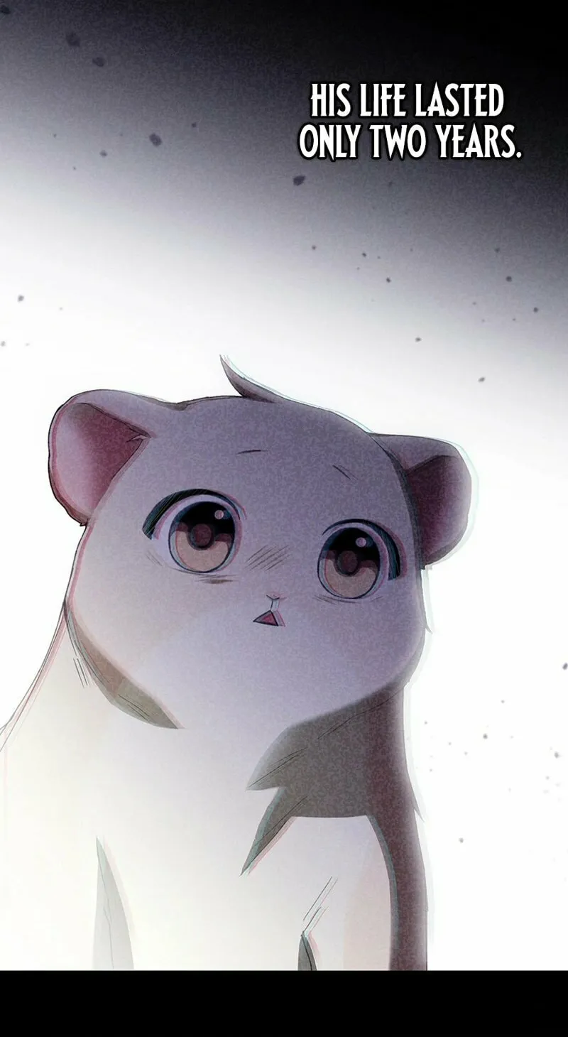This Wild Mouse Has Taken Cinderella Chapter 11 page 63 - 