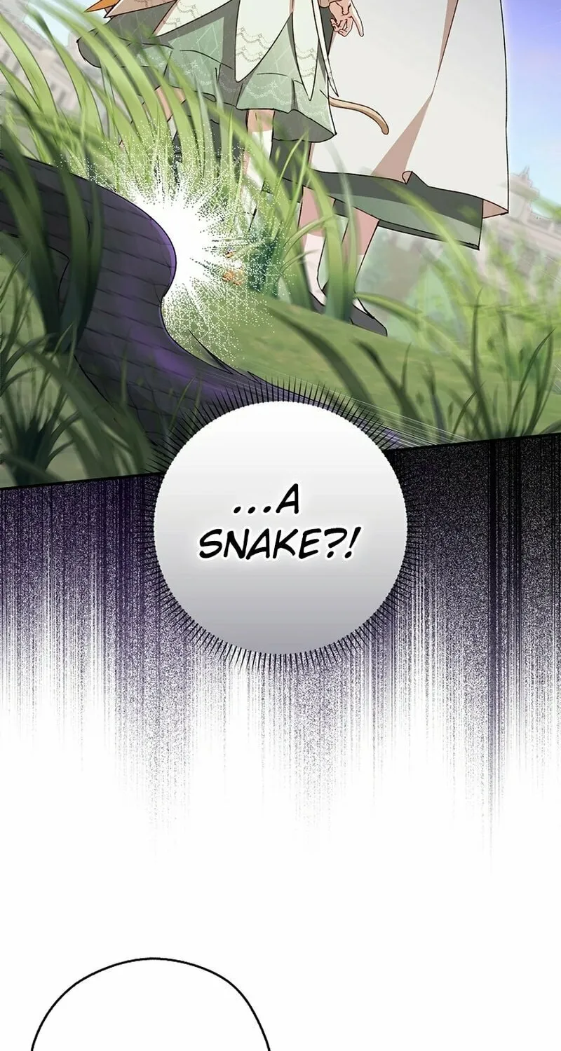 This Wild Mouse Has Taken Cinderella Chapter 13 page 37 - 