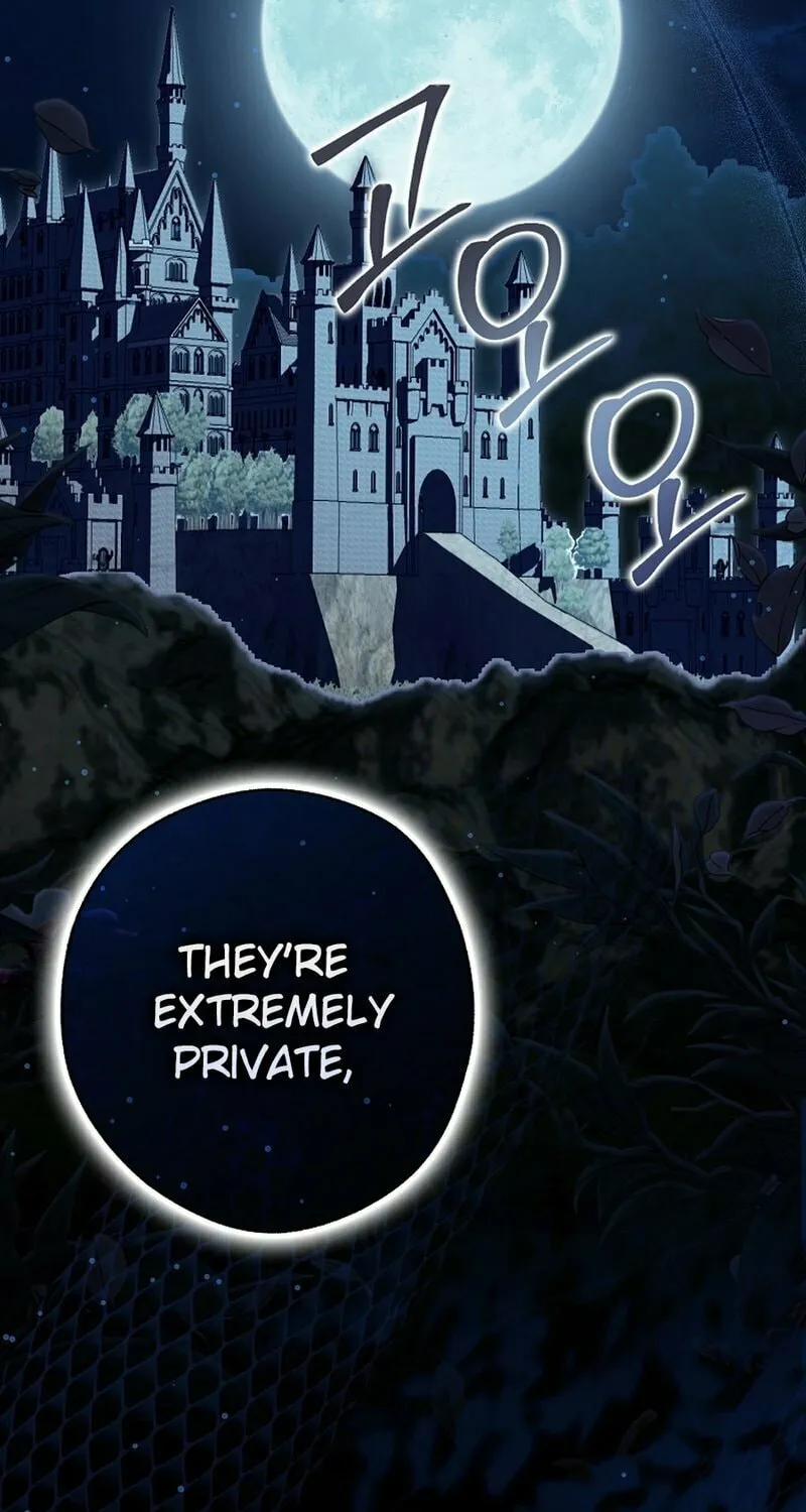 This Wild Mouse Has Taken Cinderella Chapter 13 page 52 - 