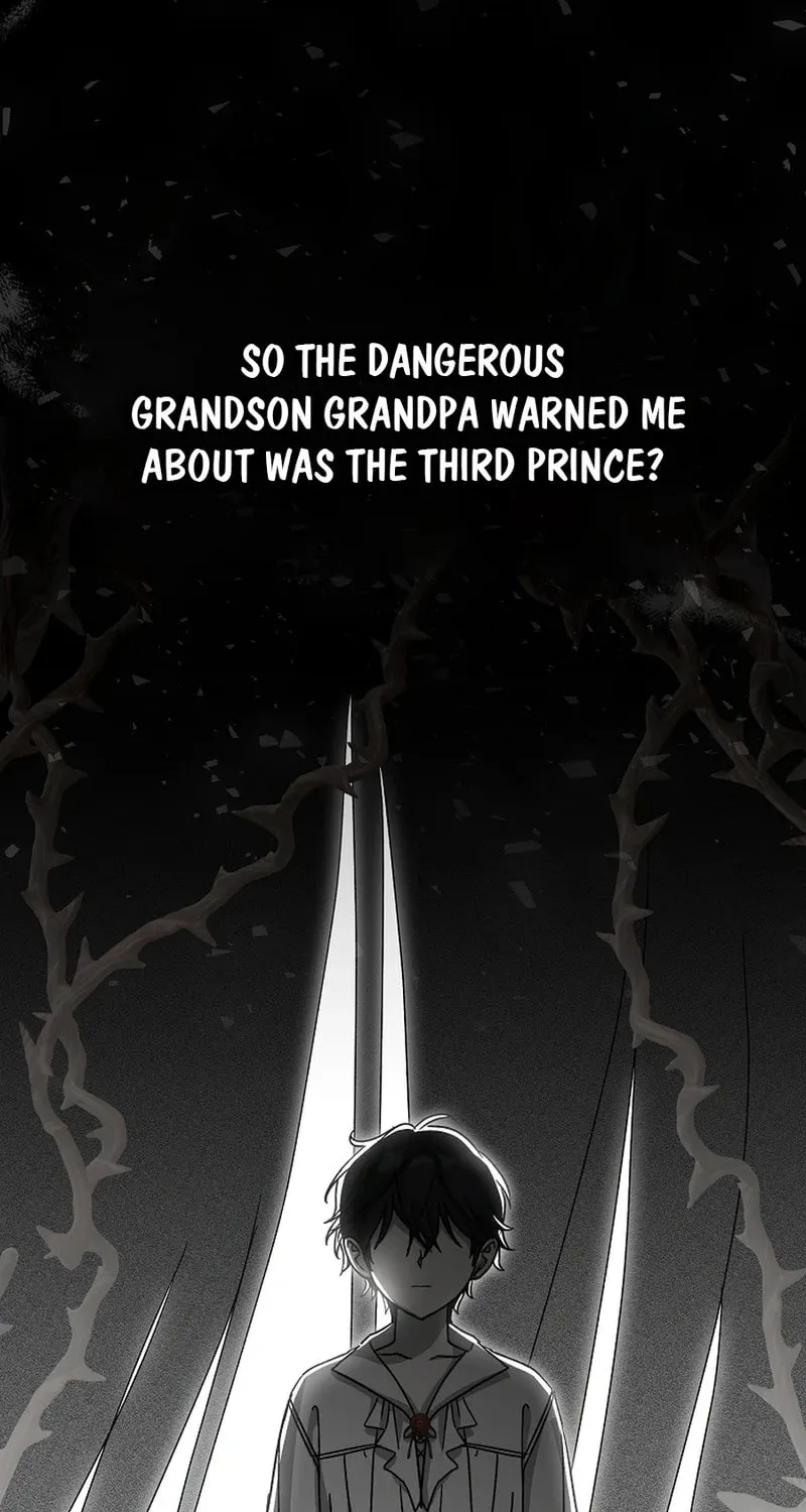 This Wild Mouse Has Taken Cinderella Chapter 13 page 80 - 