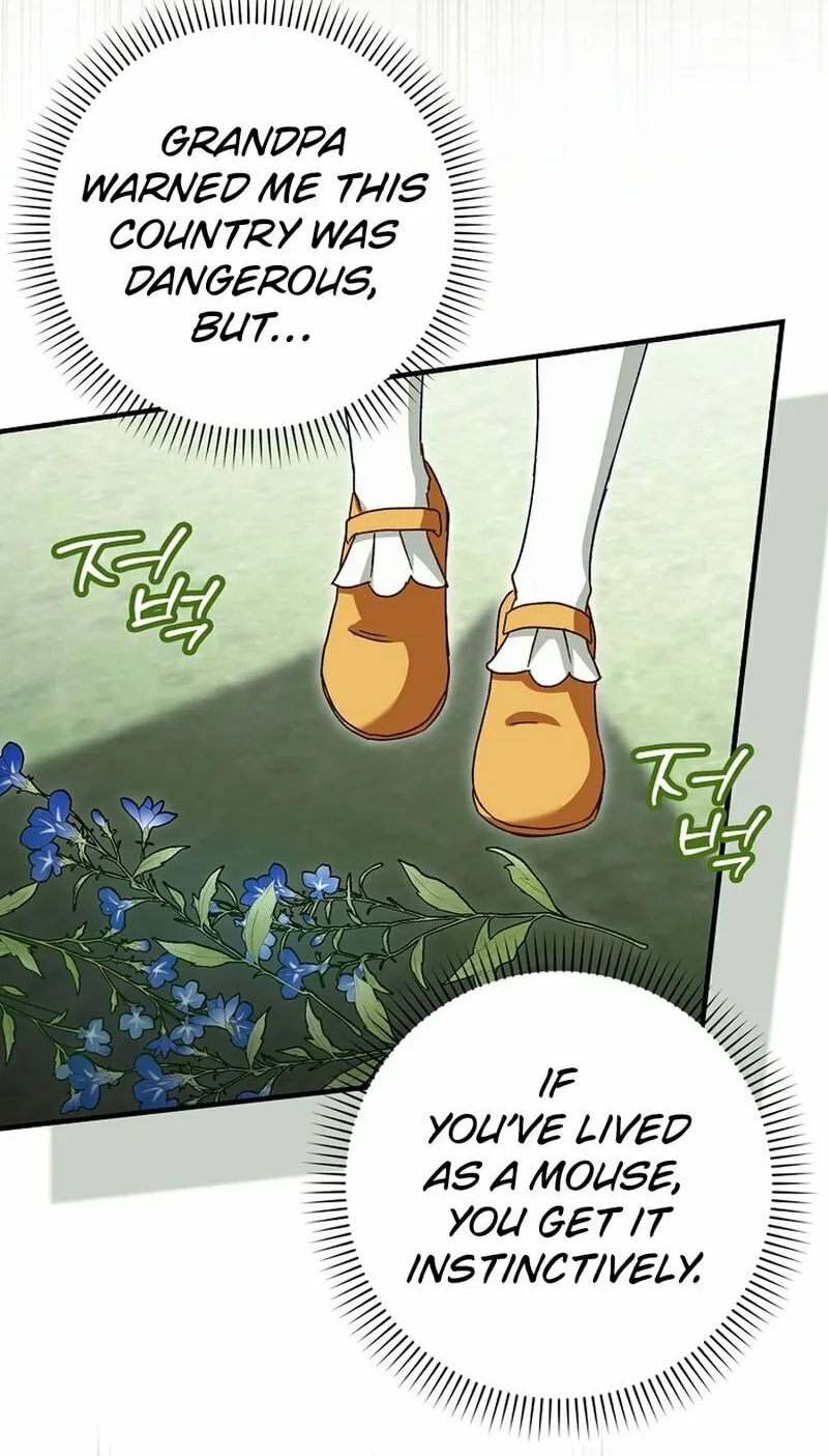 This Wild Mouse Has Taken Cinderella Chapter 14 page 12 - 