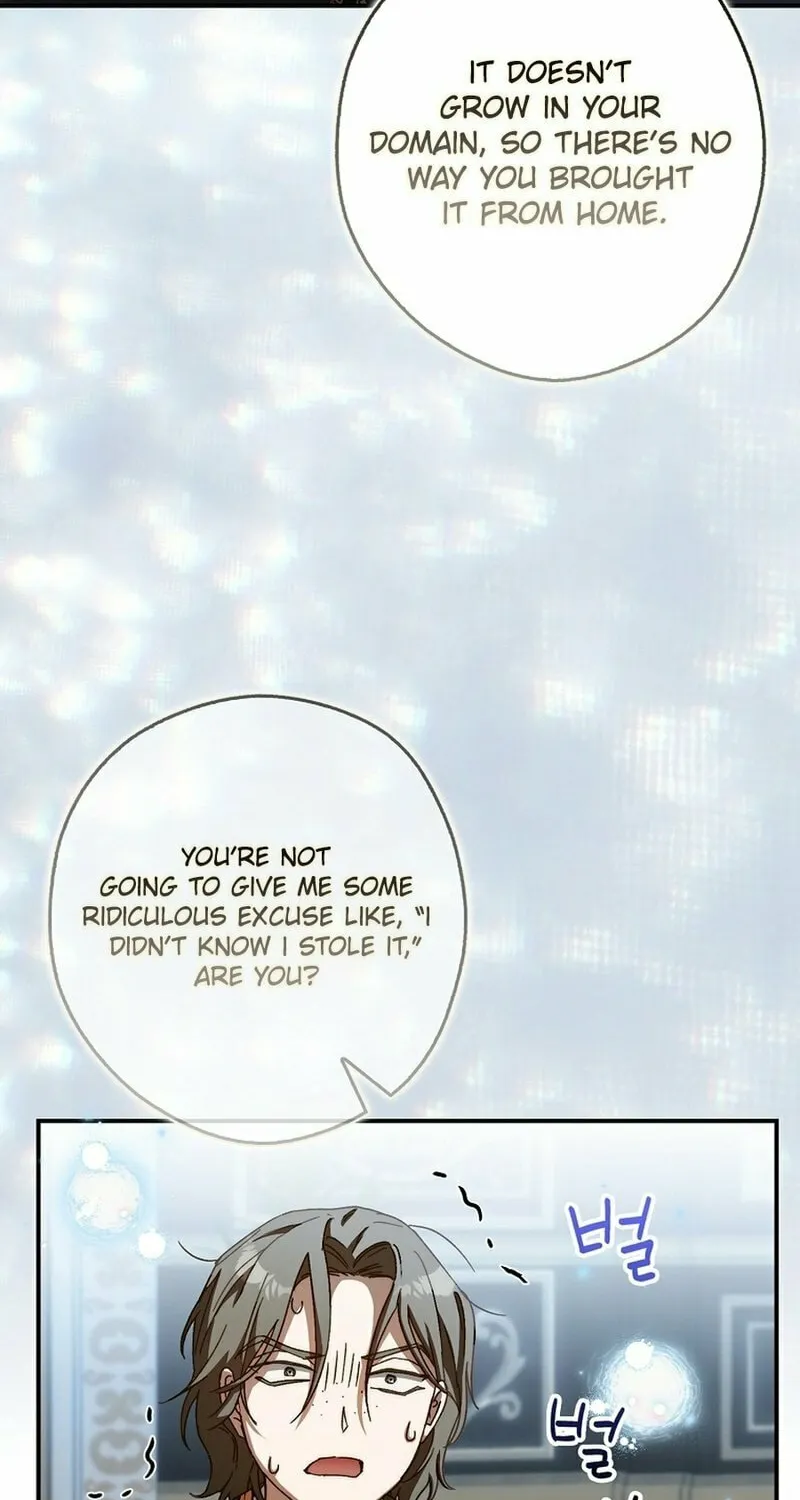 This Wild Mouse Has Taken Cinderella Chapter 16 page 10 - 