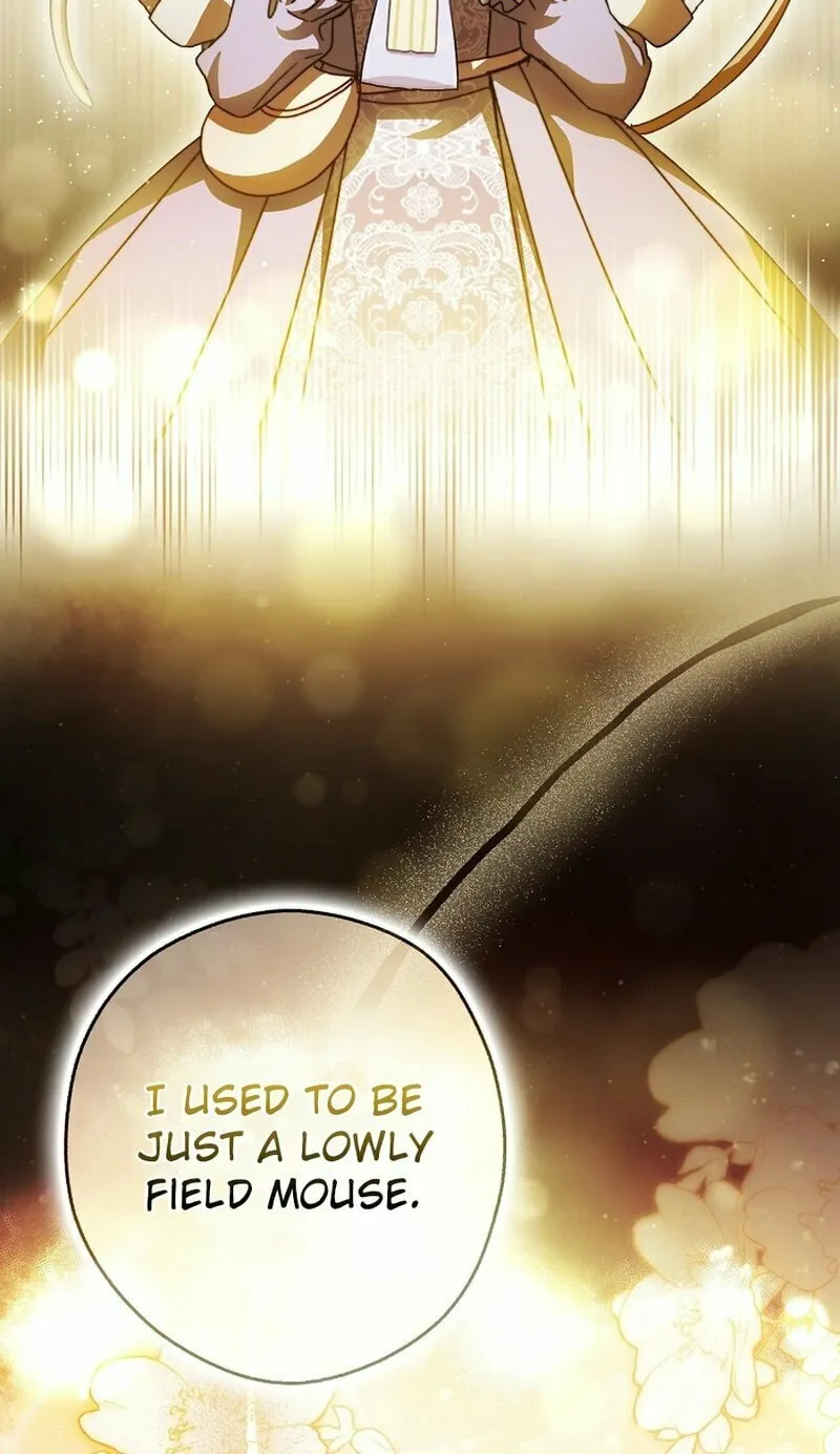 This Wild Mouse Has Taken Cinderella Chapter 17 page 16 - 