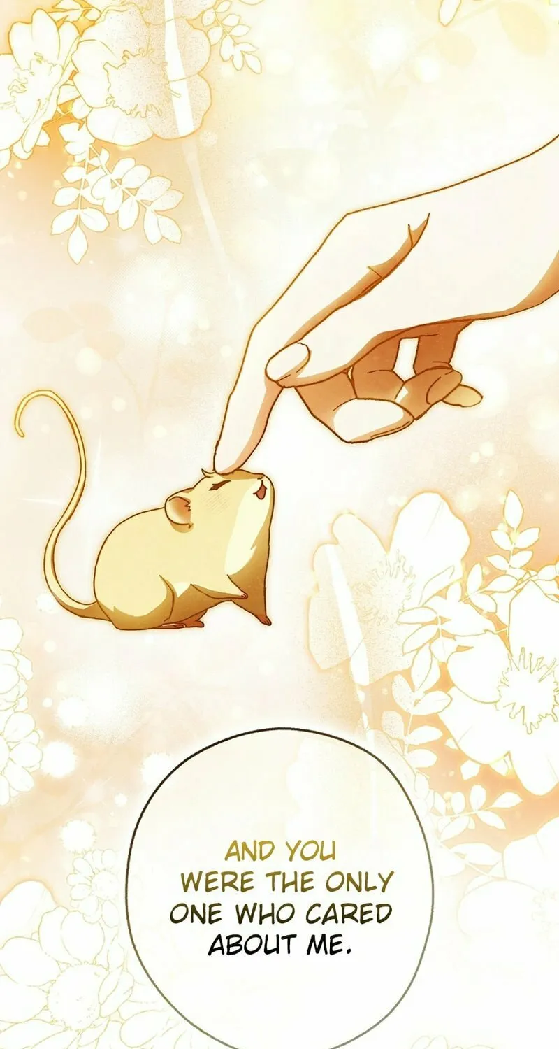 This Wild Mouse Has Taken Cinderella Chapter 17 page 17 - 