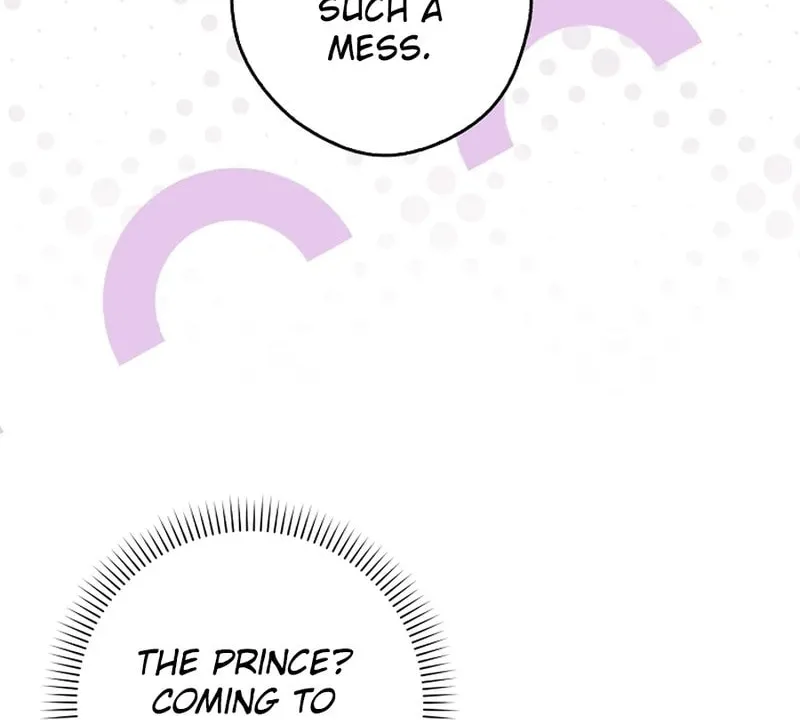 This Wild Mouse Has Taken Cinderella Chapter 17 page 74 - 