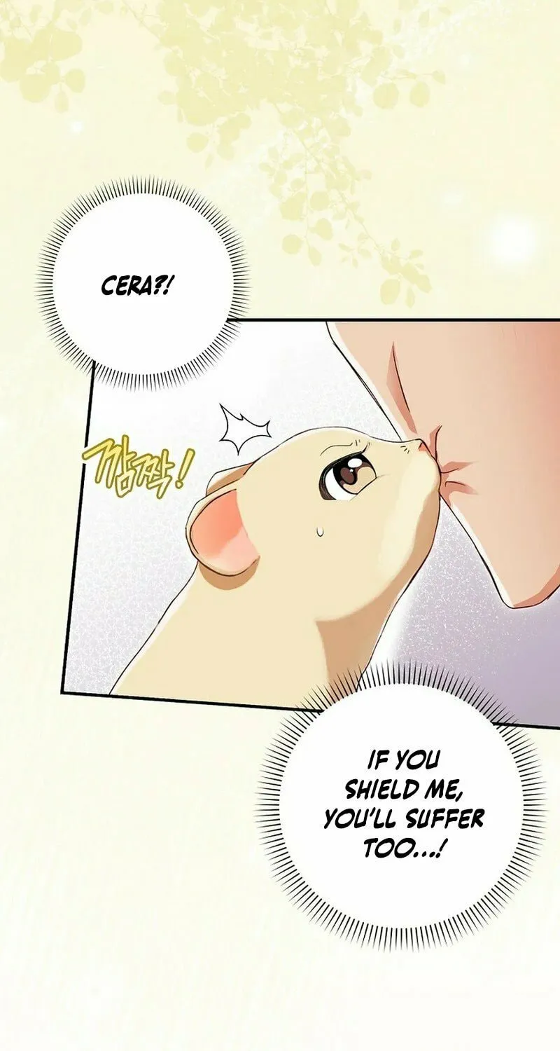 This Wild Mouse Has Taken Cinderella Chapter 2 page 11 - 