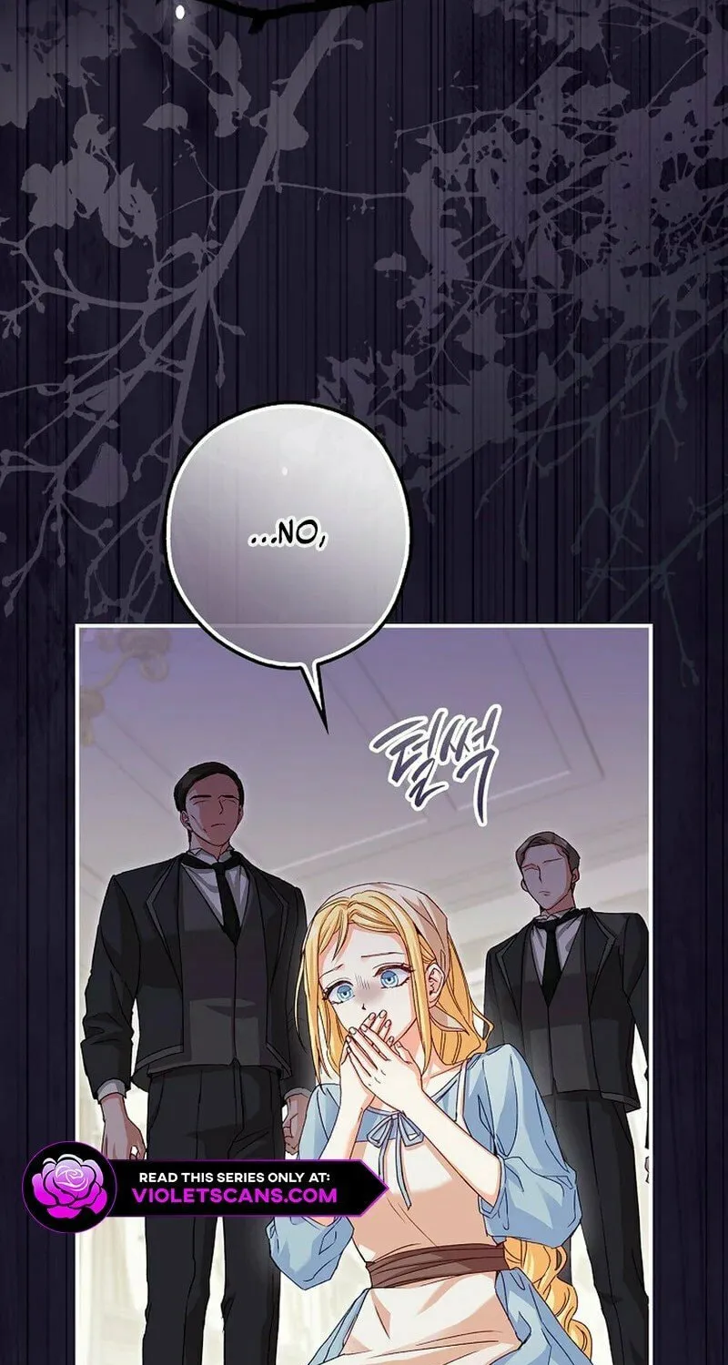 This Wild Mouse Has Taken Cinderella Chapter 2 page 21 - 