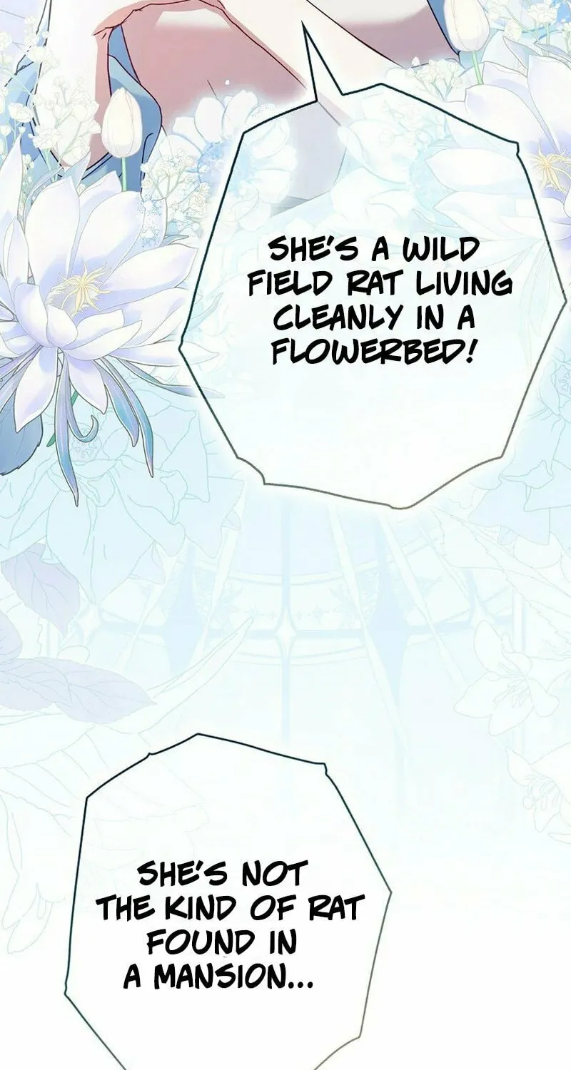 This Wild Mouse Has Taken Cinderella Chapter 2 page 26 - 