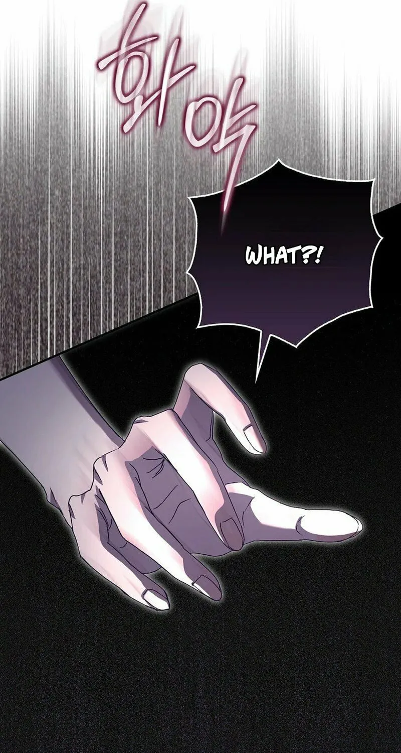 This Wild Mouse Has Taken Cinderella Chapter 2 page 28 - 