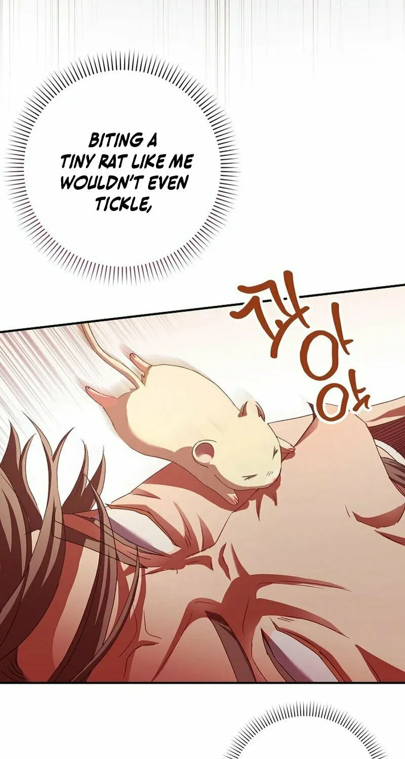 This Wild Mouse Has Taken Cinderella Chapter 2 page 4 - 