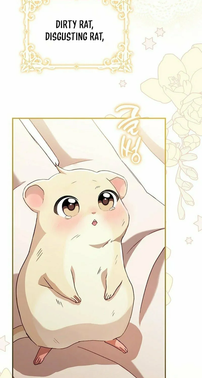 This Wild Mouse Has Taken Cinderella Chapter 2 page 68 - 
