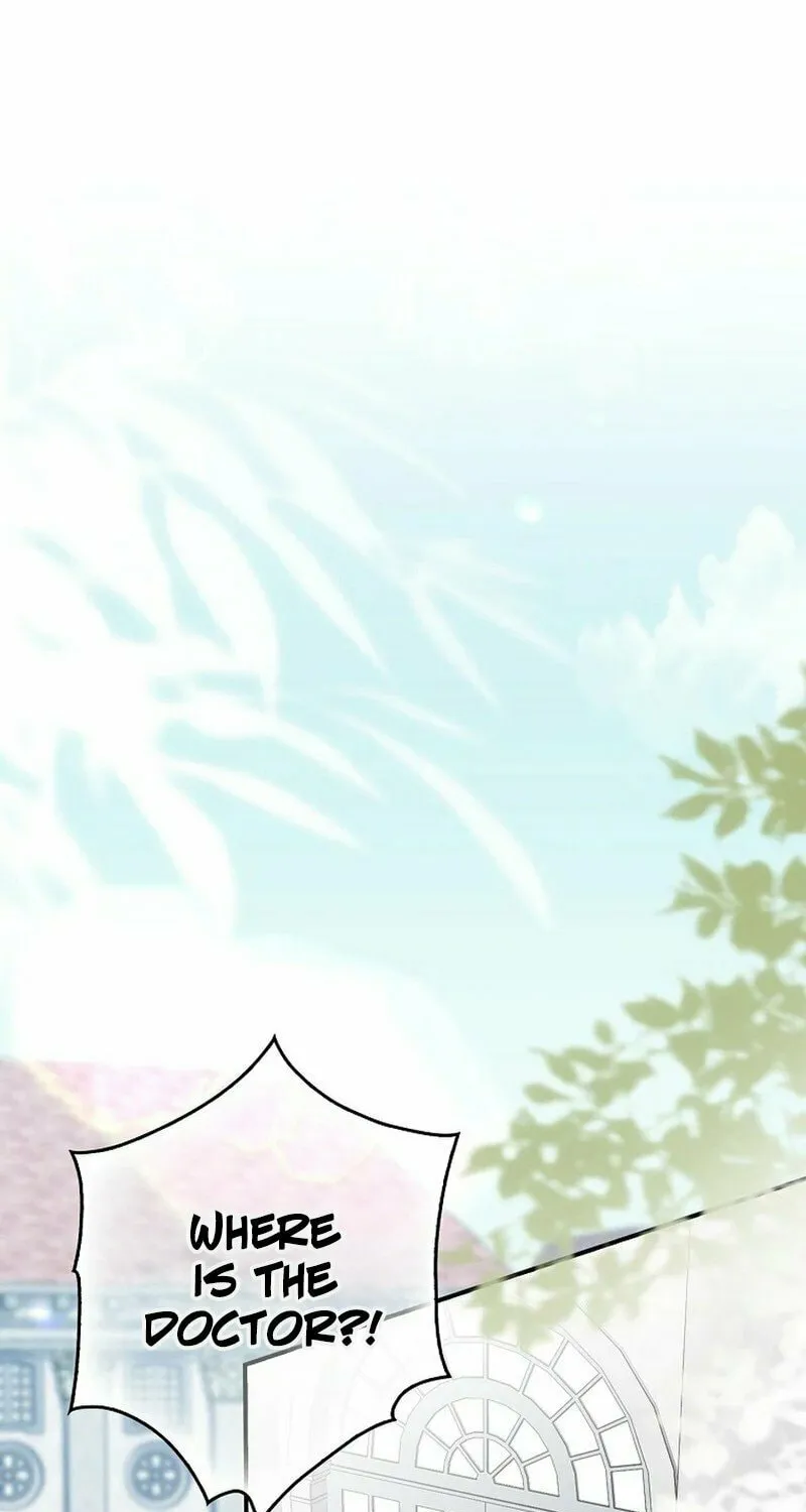 This Wild Mouse Has Taken Cinderella Chapter 2 page 79 - 