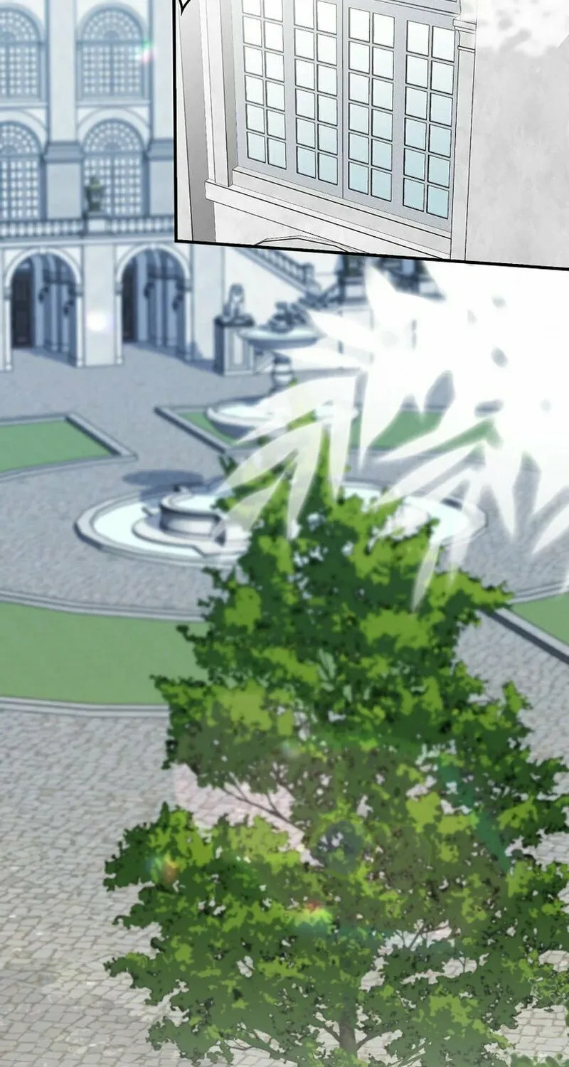 This Wild Mouse Has Taken Cinderella Chapter 2 page 80 - 