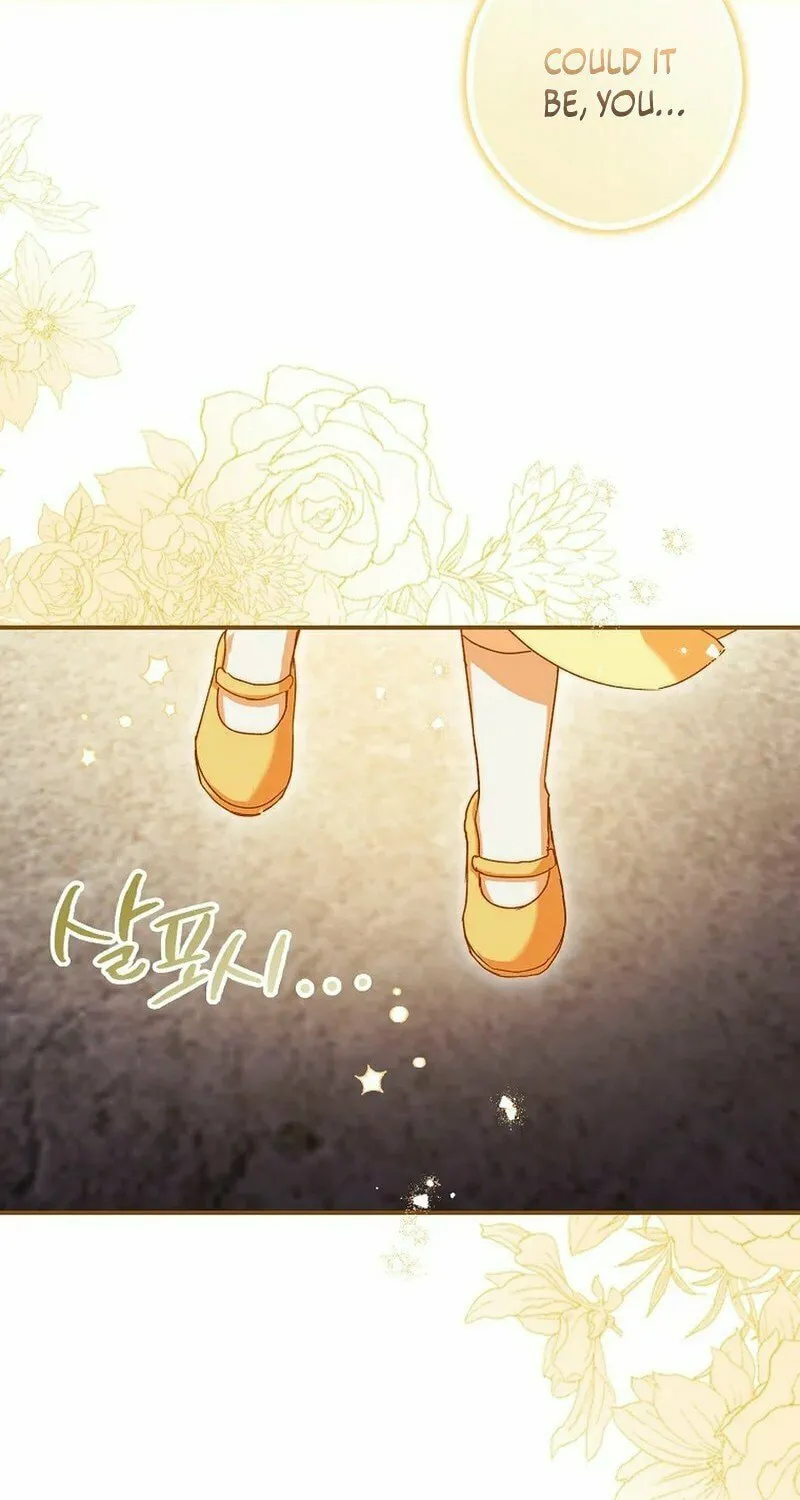 This Wild Mouse Has Taken Cinderella Chapter 2 page 100 - 