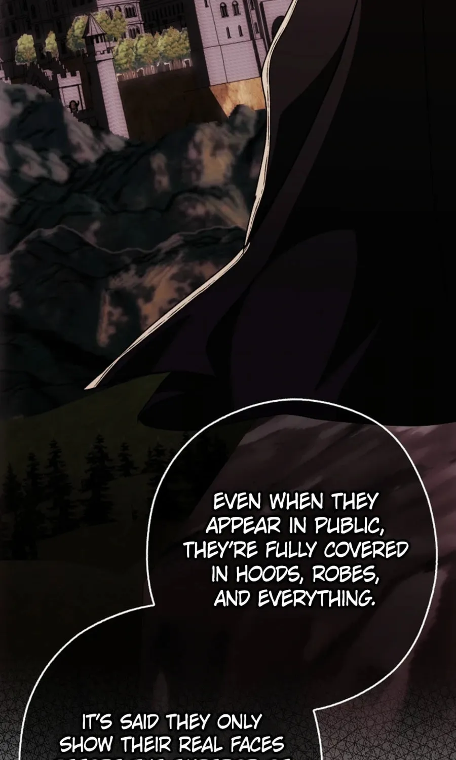 This Wild Mouse Has Taken Cinderella Chapter 22 page 79 - 