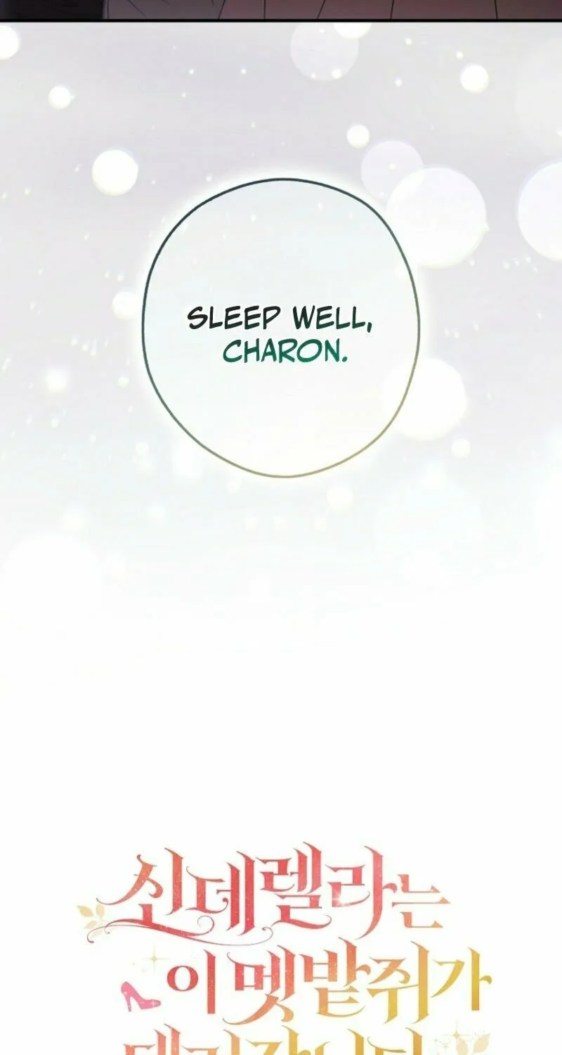 This Wild Mouse Has Taken Cinderella Chapter 24 page 21 - 