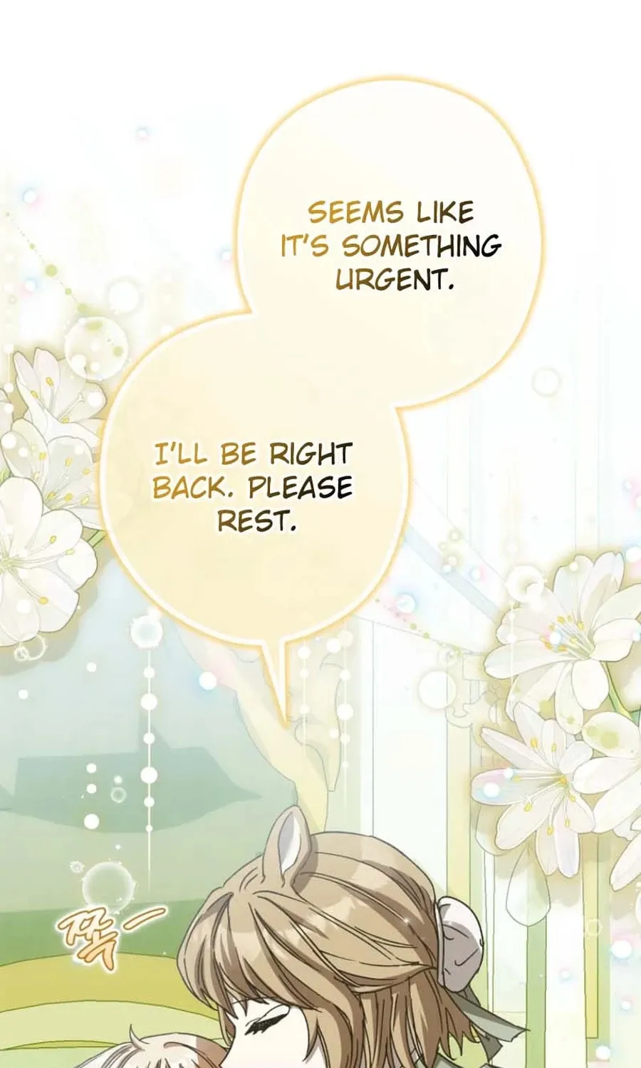 This Wild Mouse Has Taken Cinderella Chapter 26 page 106 - 