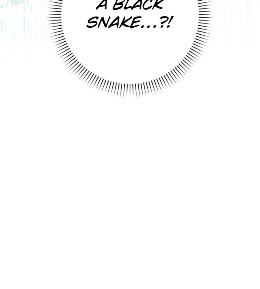 This Wild Mouse Has Taken Cinderella Chapter 26 page 34 - 