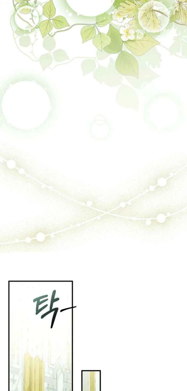 This Wild Mouse Has Taken Cinderella Chapter 33 page 60 - 