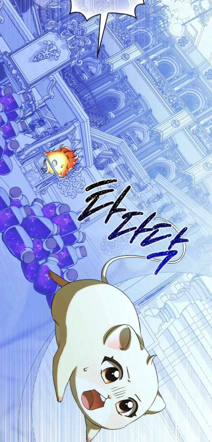 This Wild Mouse Has Taken Cinderella Chapter 34 page 27 - 