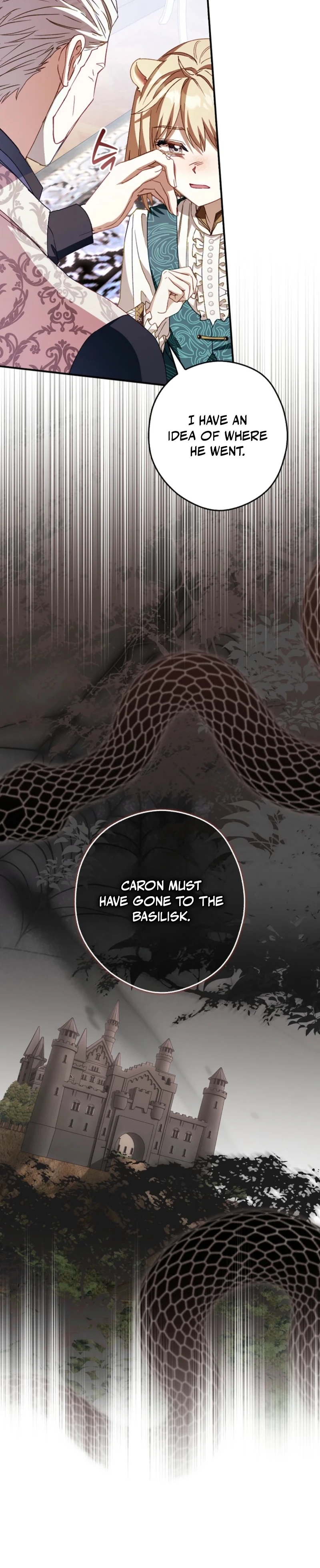 This Wild Mouse Has Taken Cinderella Chapter 46 page 15 - 