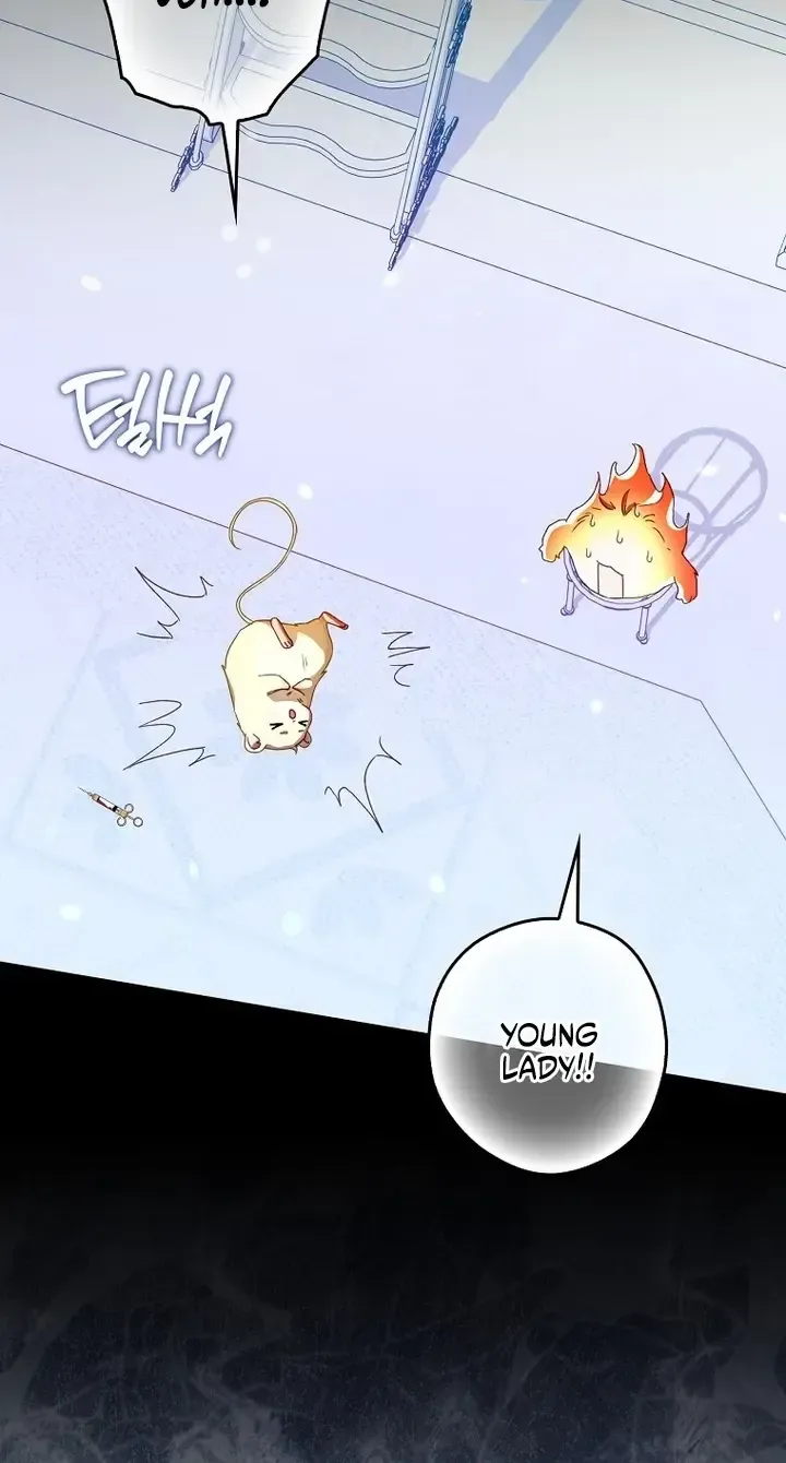 This Wild Mouse Has Taken Cinderella Chapter 47 page 81 - 