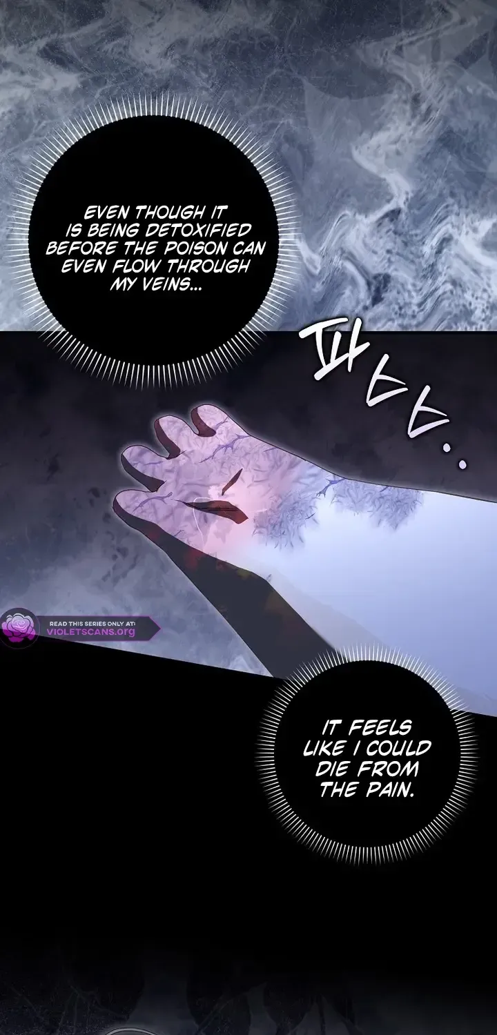 This Wild Mouse Has Taken Cinderella Chapter 47 page 82 - 
