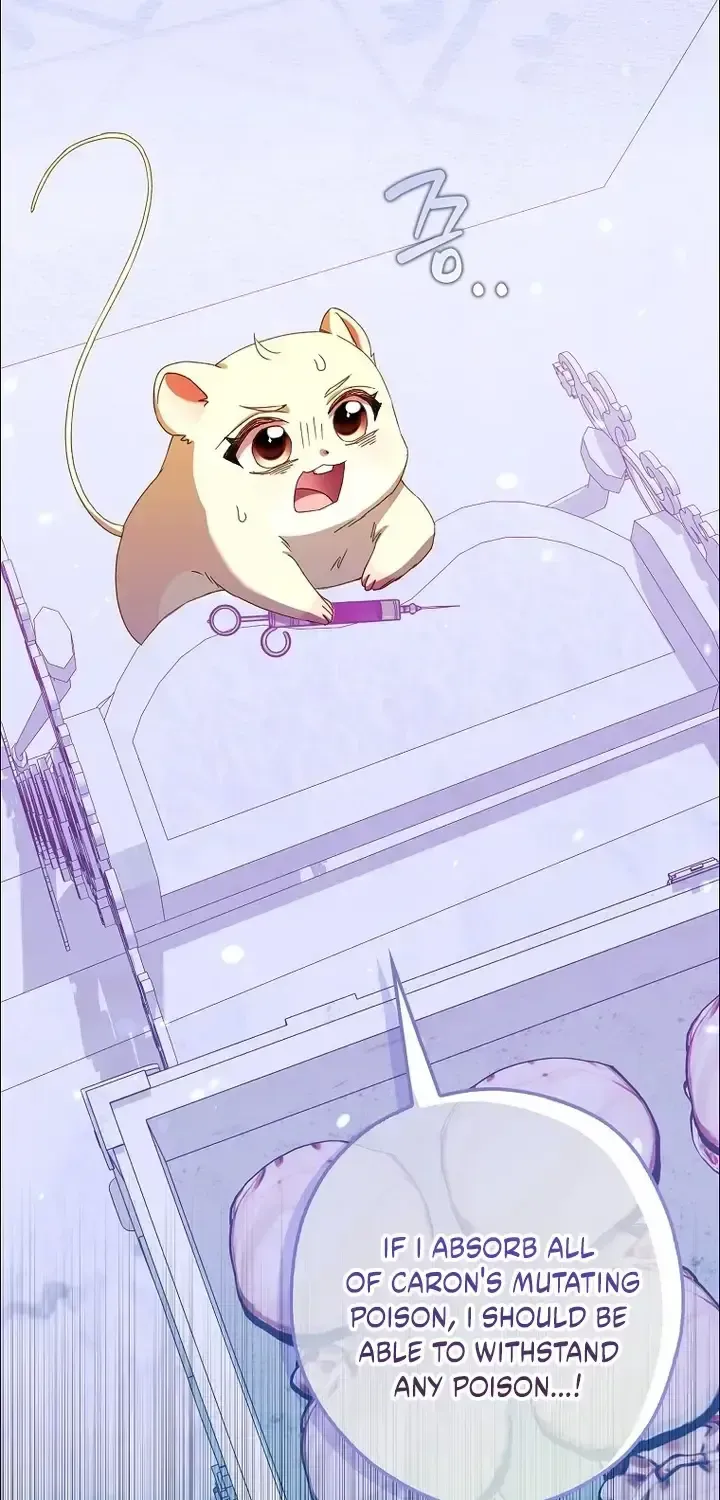 This Wild Mouse Has Taken Cinderella Chapter 47 page 92 - 