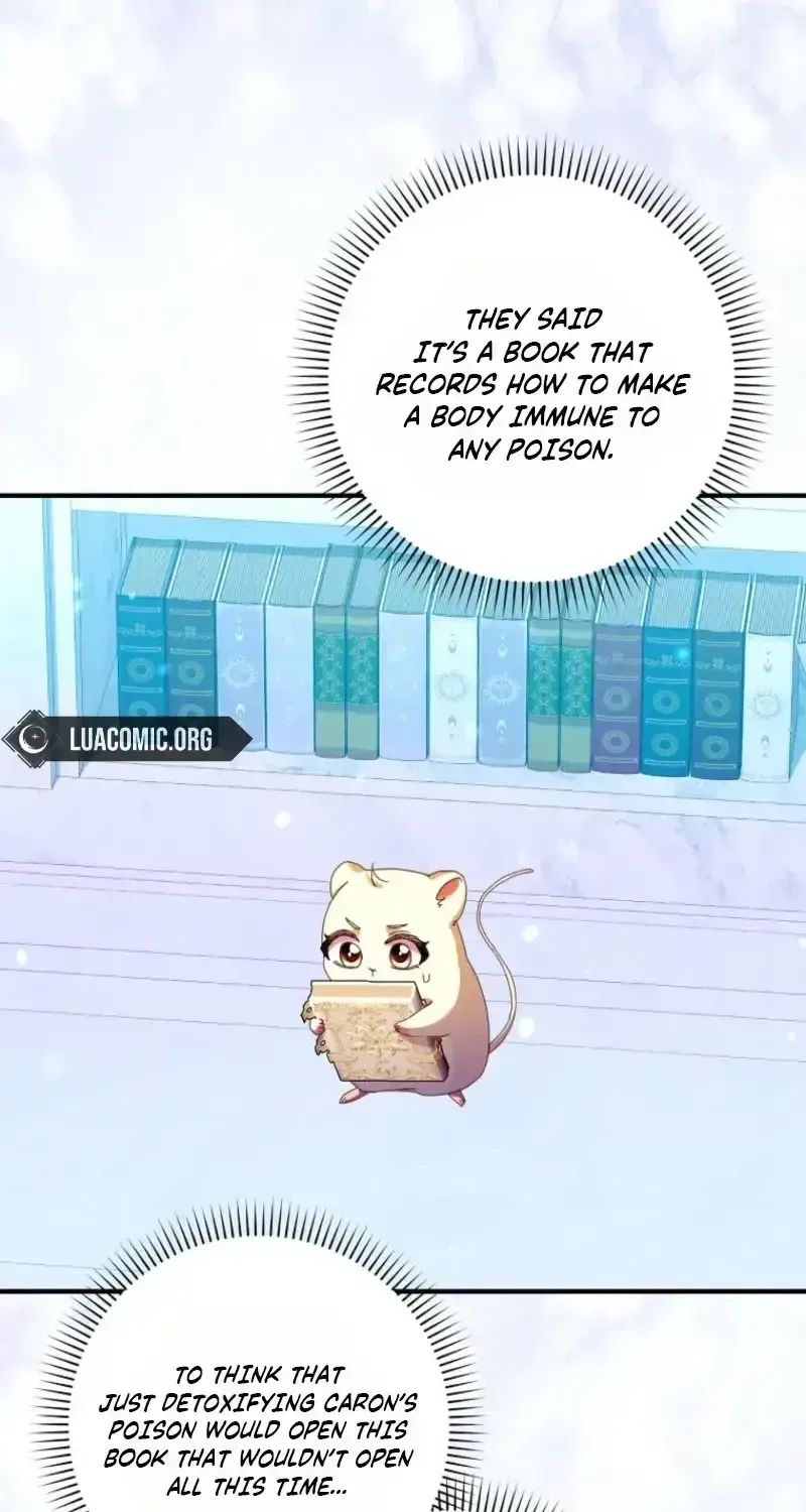 This Wild Mouse Has Taken Cinderella Chapter 48 page 5 - 