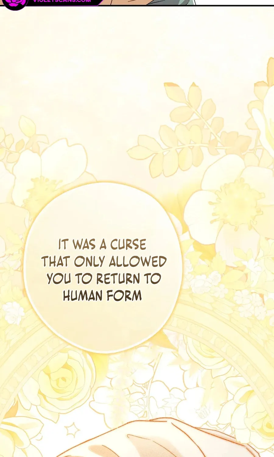 This Wild Mouse Has Taken Cinderella Chapter 6 page 88 - 