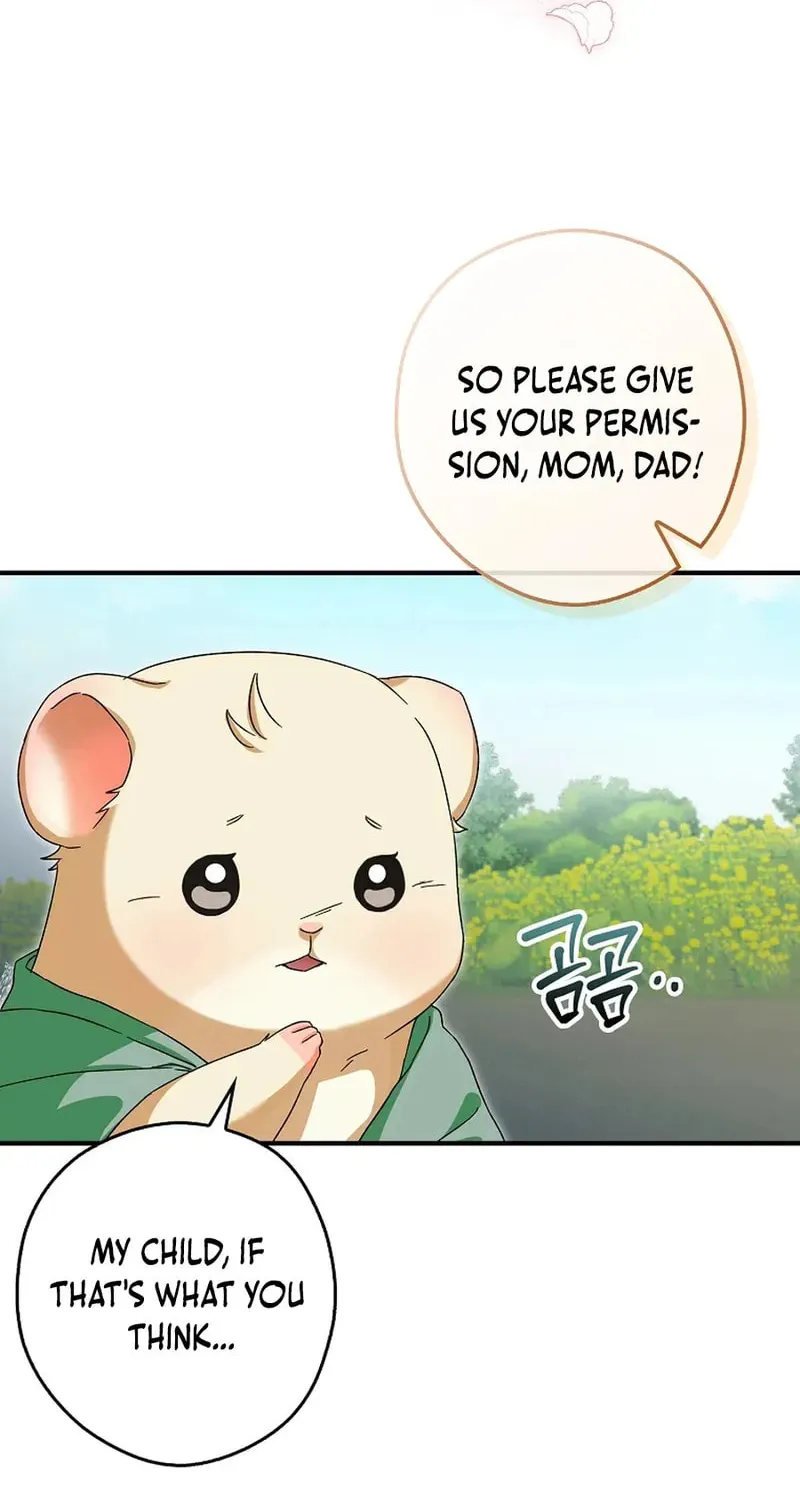 This Wild Mouse Has Taken Cinderella Chapter 7 page 13 - 