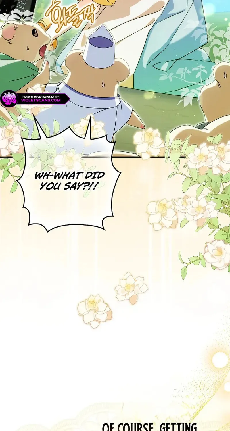 This Wild Mouse Has Taken Cinderella Chapter 7 page 4 - 